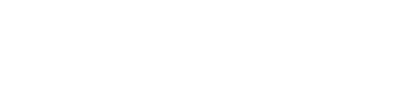 React NextJS Development