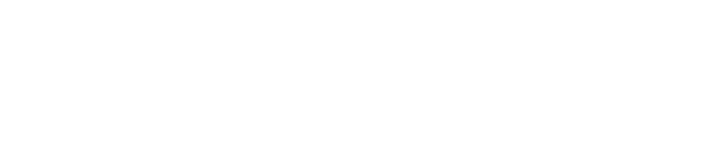 Microsoft Dynamics 365 Partner